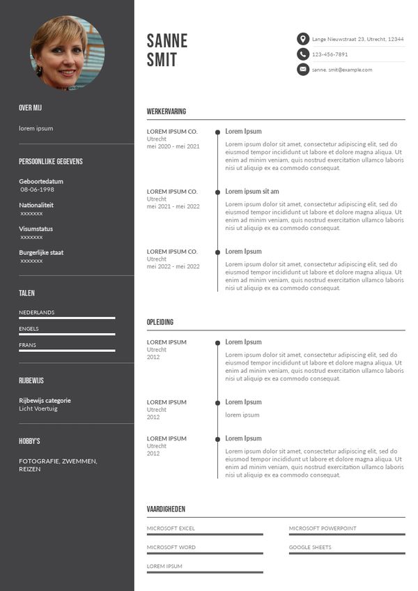 Productmanager CV